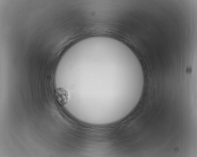X0000113950744200909251003