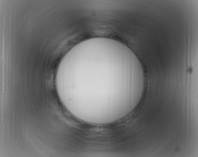 X0000113950745200909251003