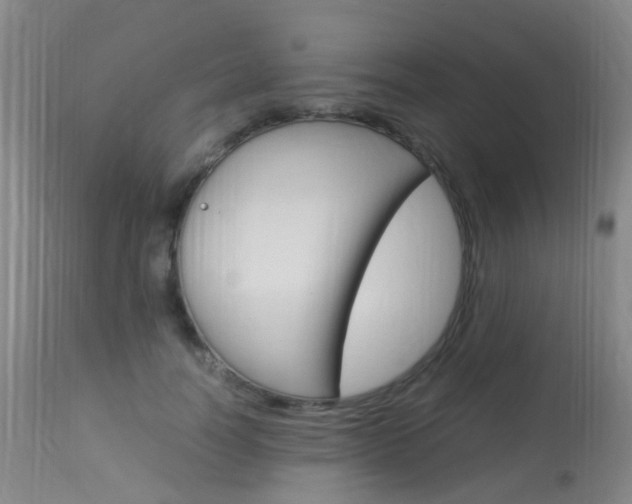 X0000113950746200909251003