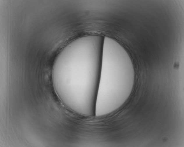 X0000113950747200909251003