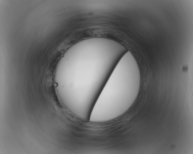 X0000113950751200909251003