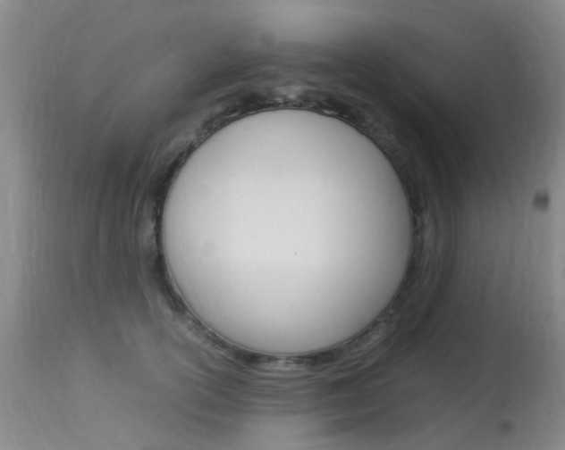 X0000113950754200909251003