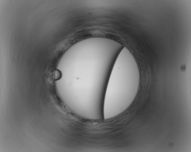 X0000113950755200909251003