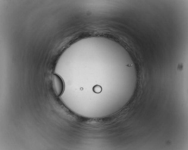 X0000113950756200909251003