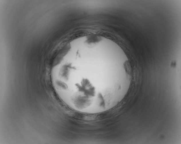 X0000113950757200909251003