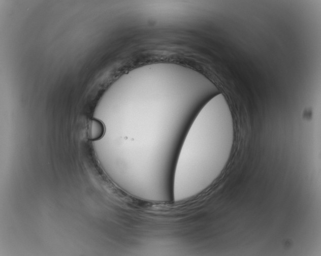 X0000113950758200909251003