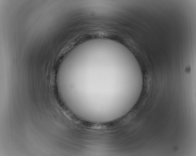X0000113950760200909251003