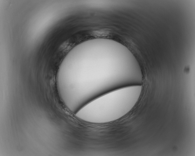 X0000113950763200909251003