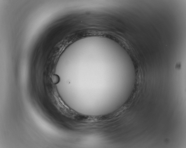 X0000113950764200909251003