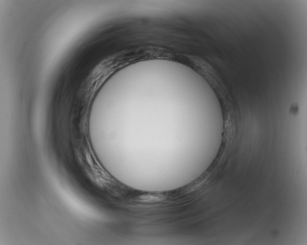 X0000113950765200909251003