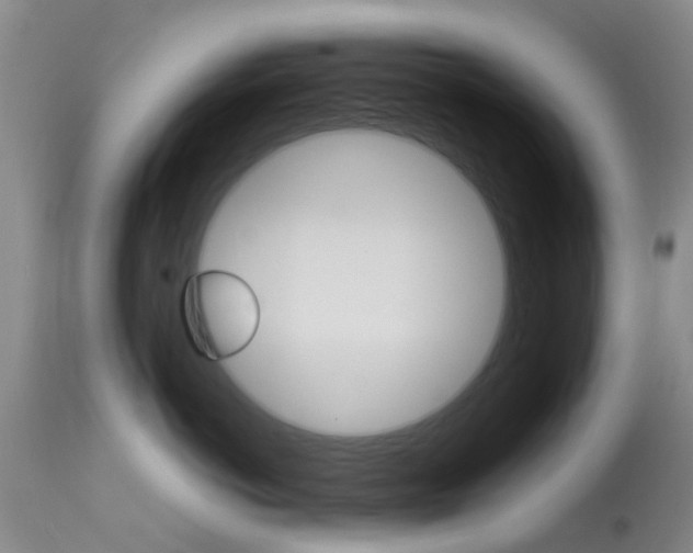 X0000113950766200909251003