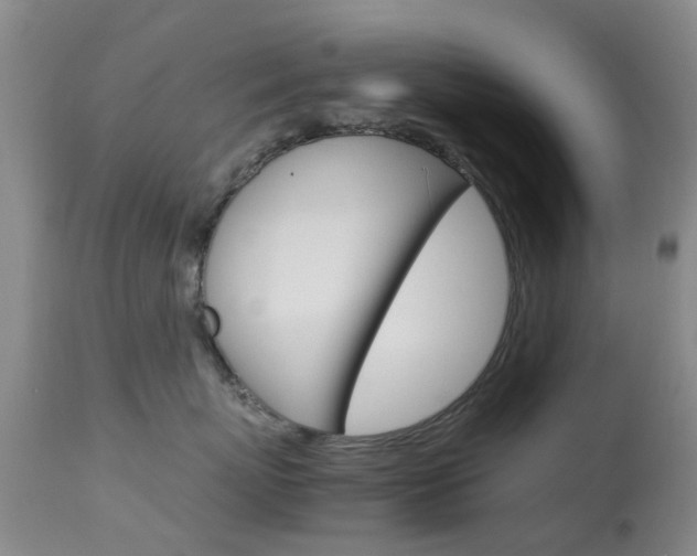 X0000113950767200909251003