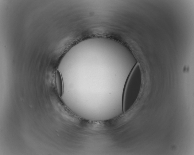 X0000113950768200909251003