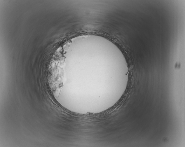 X0000113950769200909251002