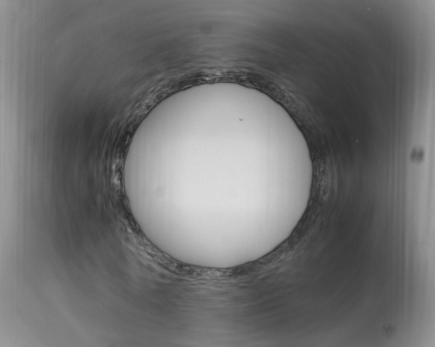 X0000113950770200909251002