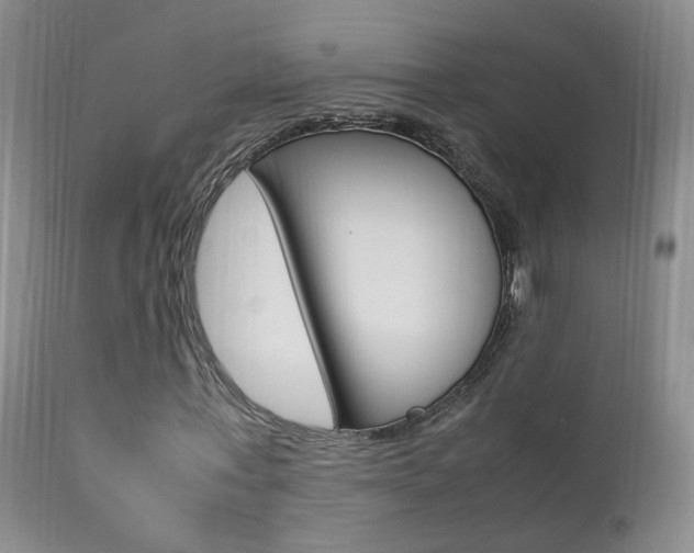 X0000113950771200909251002