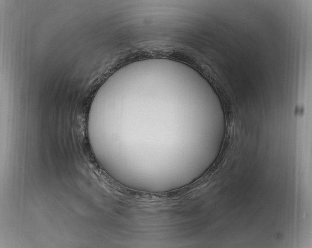 X0000113950772200909251002
