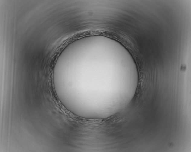 X0000113950773200909251002