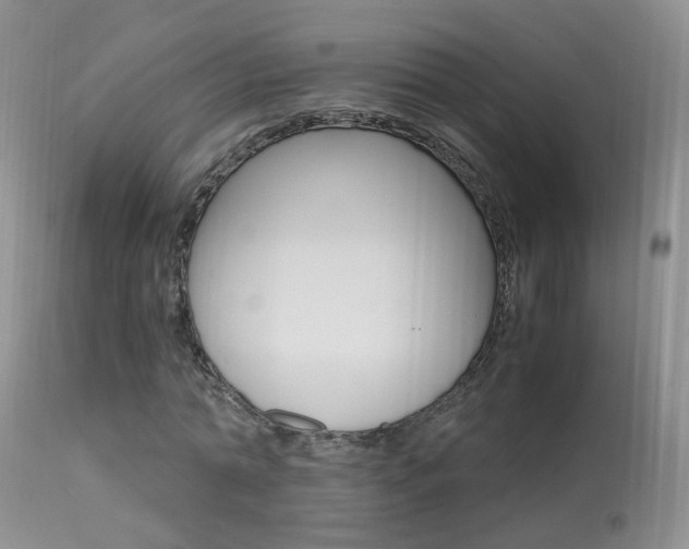 X0000113950774200909251002