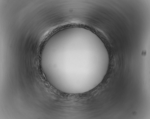 X0000113950776200909251002