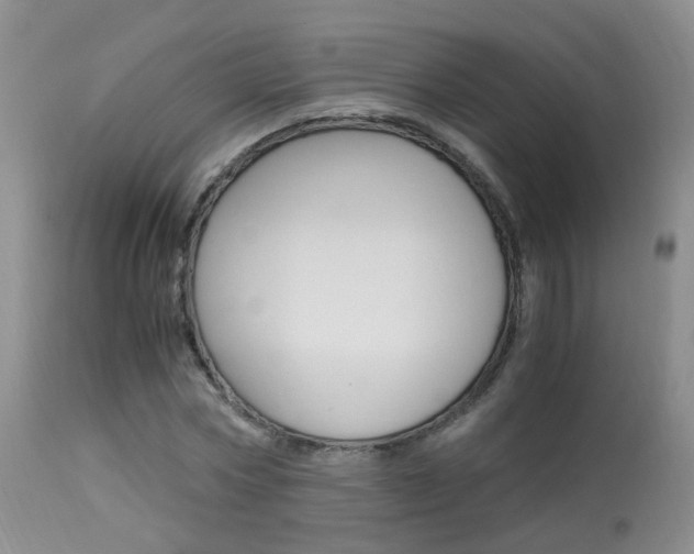 X0000113950778200909251002