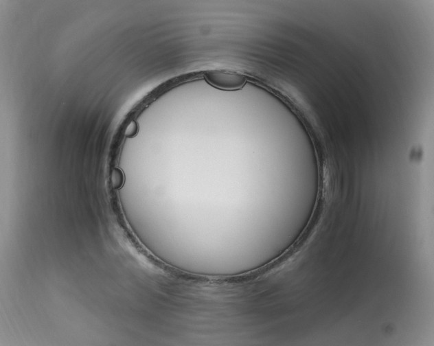 X0000113950780200909251002