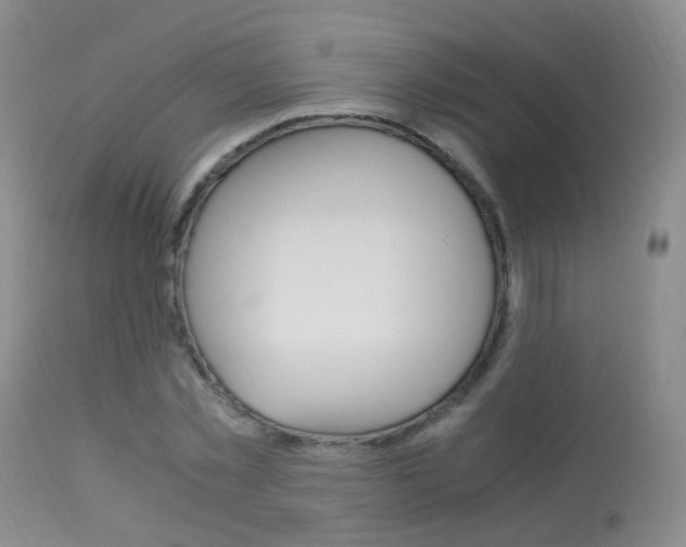 X0000113950781200909251002