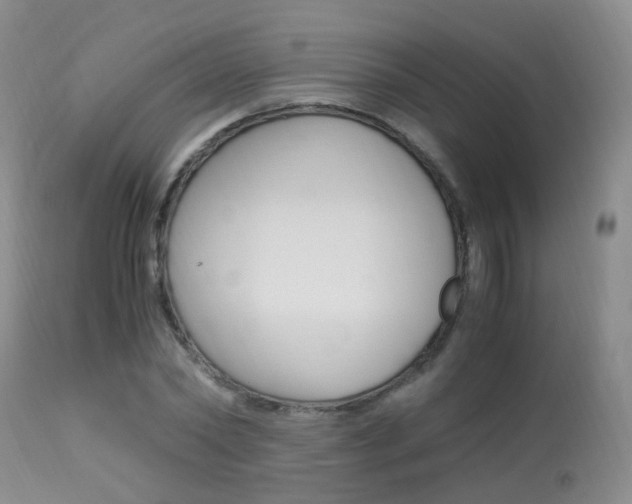 X0000113950782200909251002