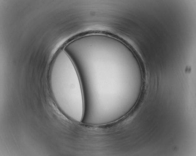 X0000113950783200909251002