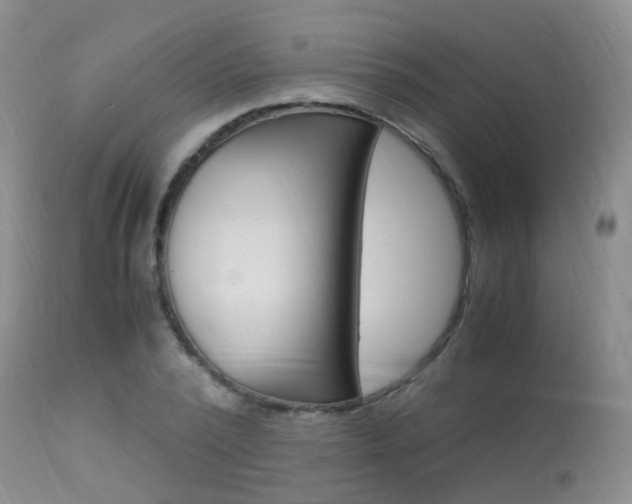 X0000113950784200909251002