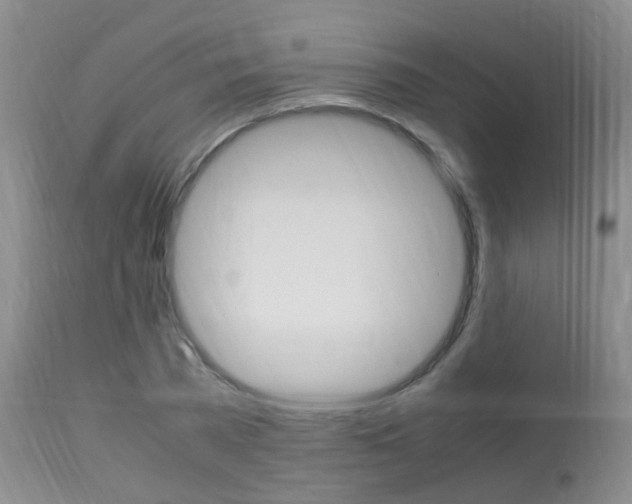 X0000113950785200909251002