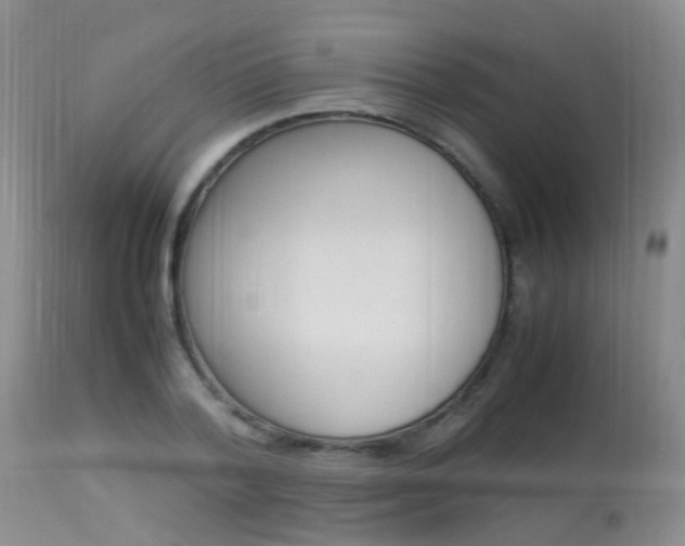 X0000113950788200909251002