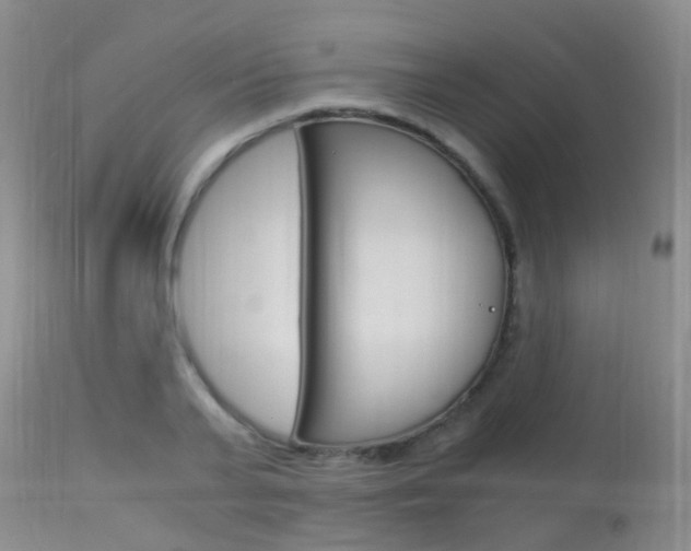 X0000113950791200909251002