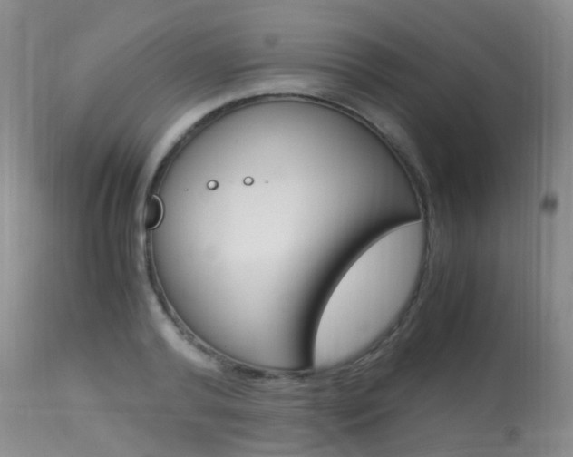 X0000113950792200909251002