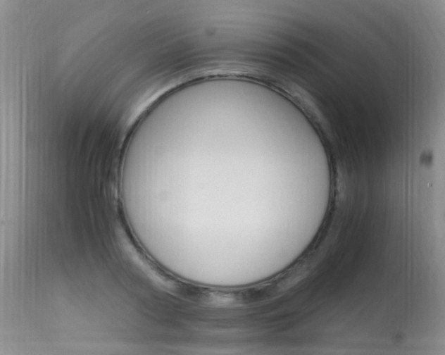 X0000113950794200909251002