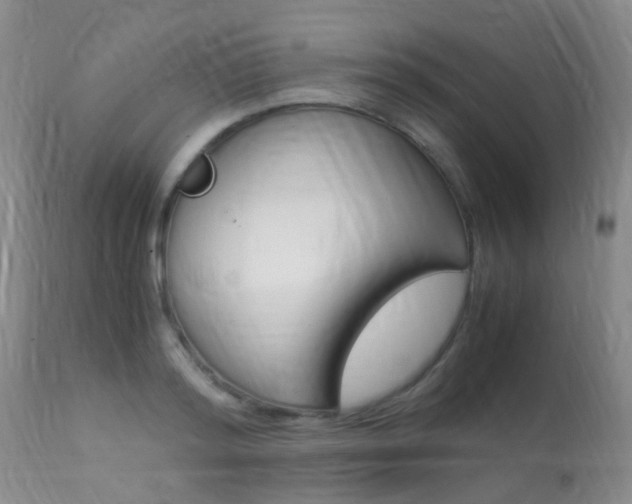 X0000113950796200909251002