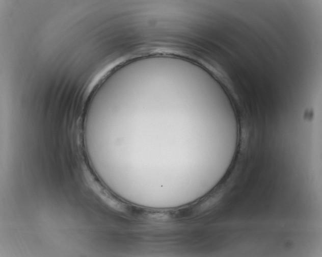 X0000113950798200909251002
