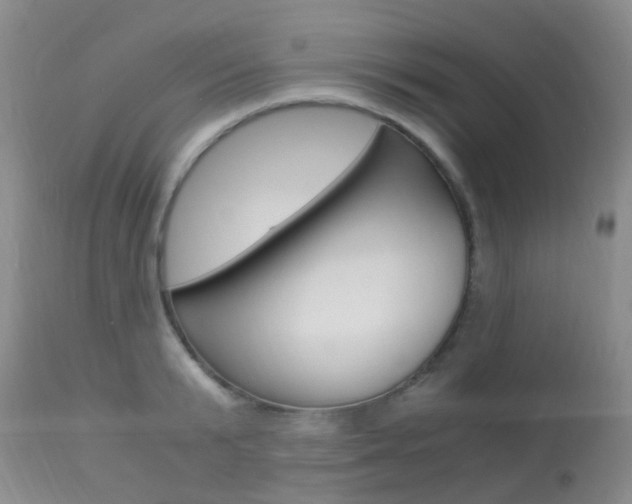 X0000113950799200909251002