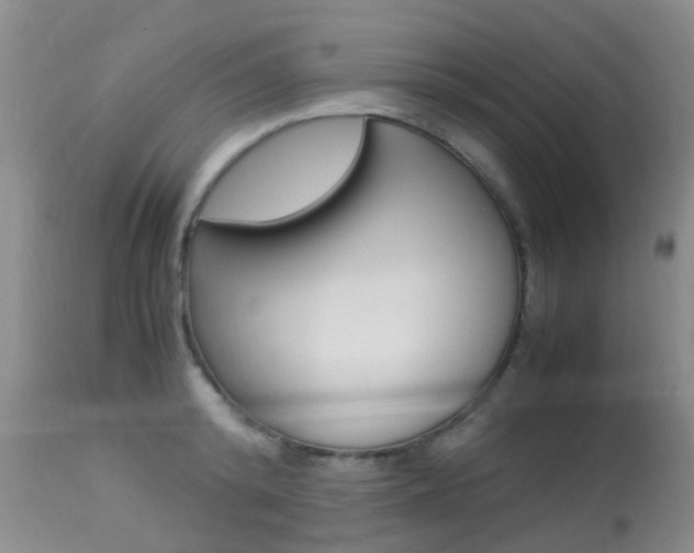 X0000113950800200909251002