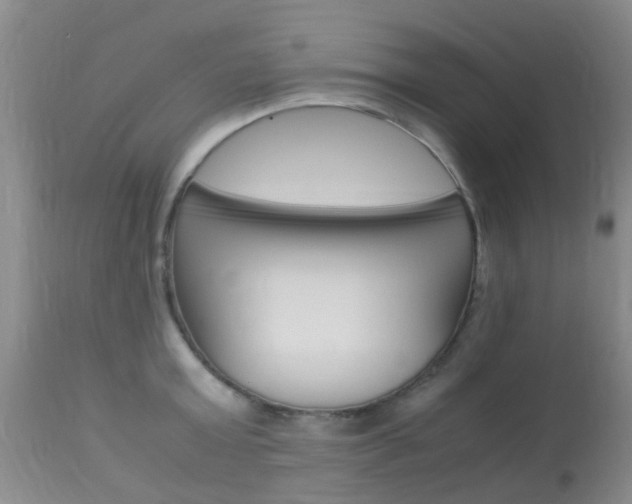 X0000113950803200909251002