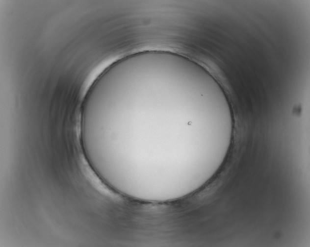 X0000113950804200909251002