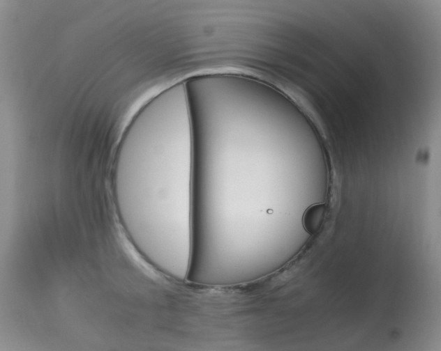X0000113950805200909251002