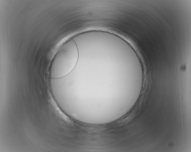 X0000113950807200909251002