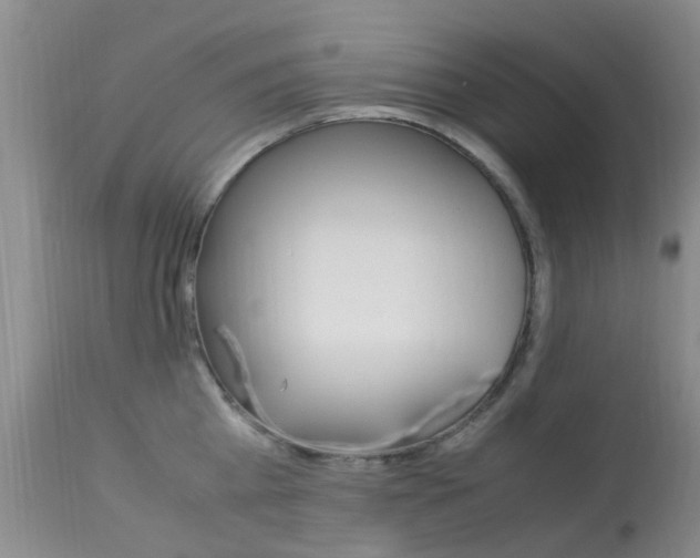 X0000113950809200909251002