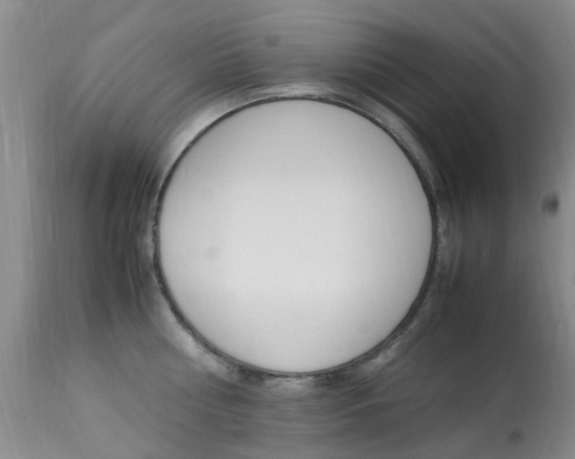 X0000113950810200909251002