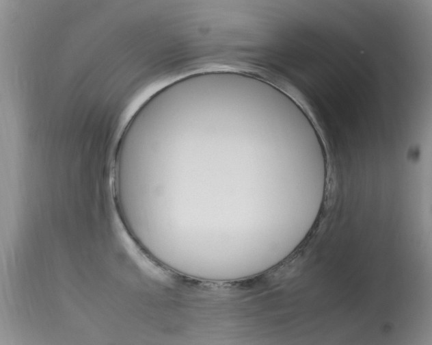 X0000113950811200909251002
