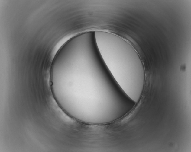 X0000113950812200909251002