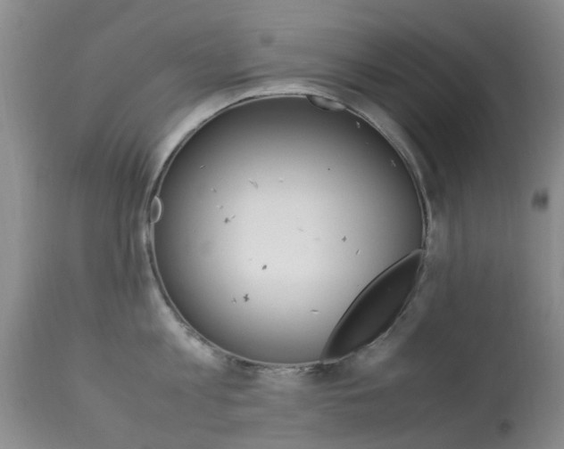 X0000113950813200909251002
