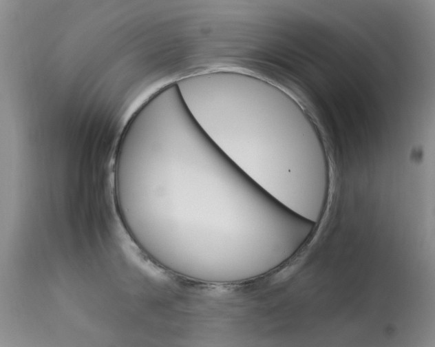 X0000113950814200909251002
