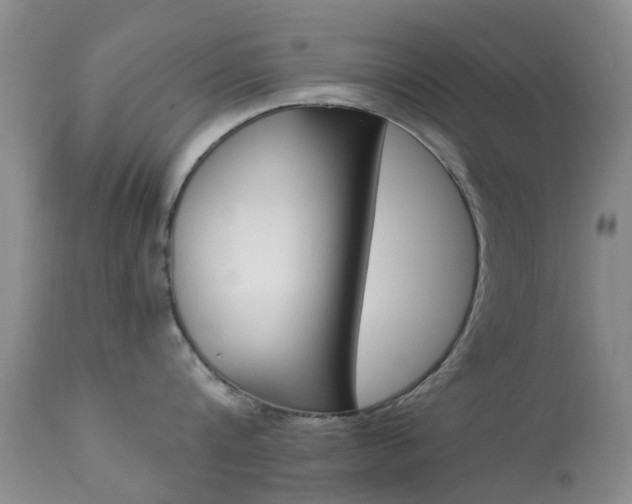 X0000113950816200909251002